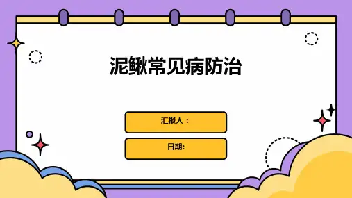 泥鳅常见病咋防治