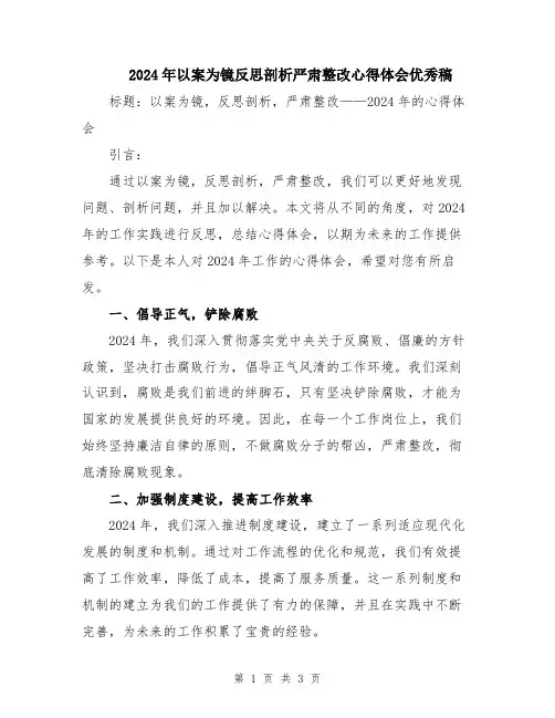 2024年以案为镜反思剖析严肃整改心得体会优秀稿