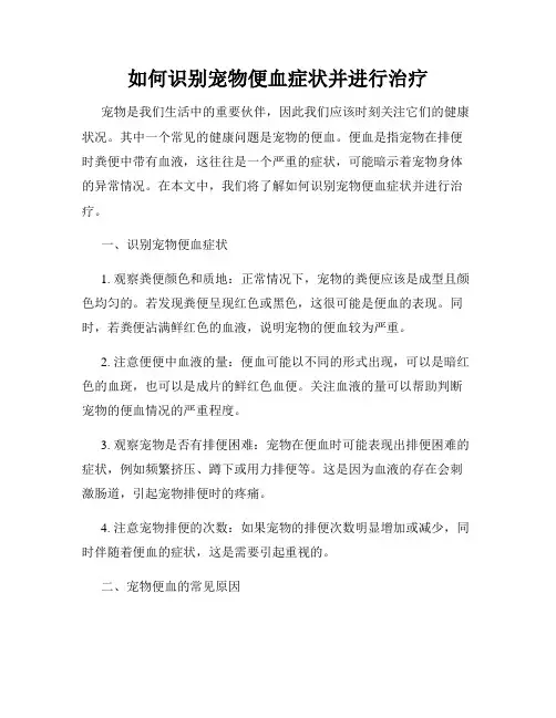 如何识别宠物便血症状并进行治疗
