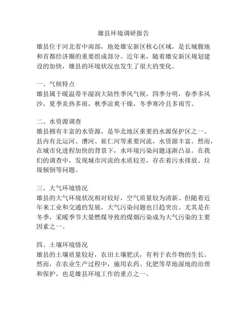 雄县环境调研报告