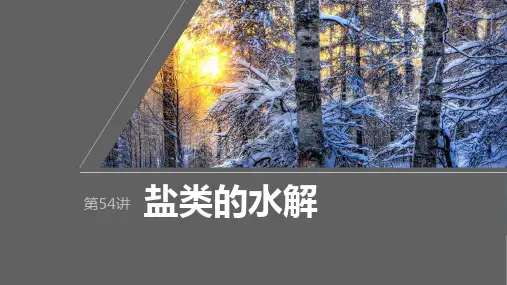 2024届高考一轮复习化学课件(人教版)：水溶液中的离子反应与平衡-盐类的水解