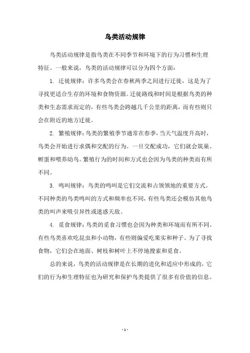 鸟类活动规律