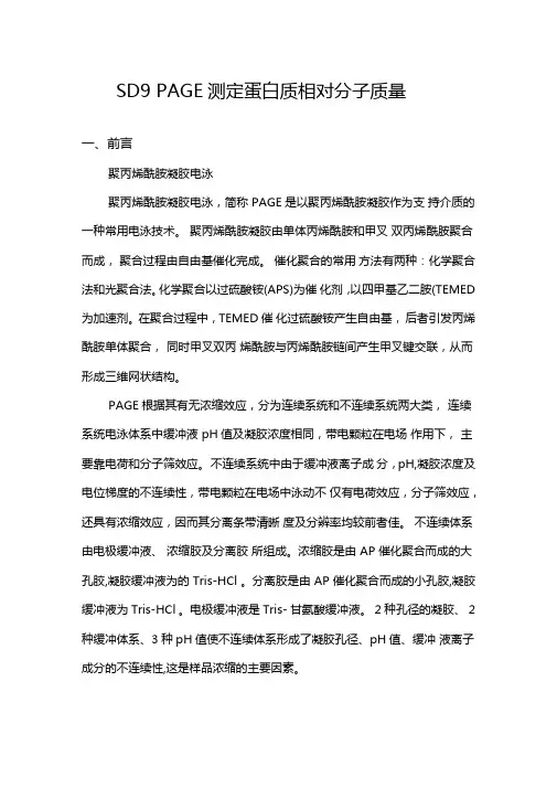SDS-PAGE测定蛋白质相对分子质量试验报告