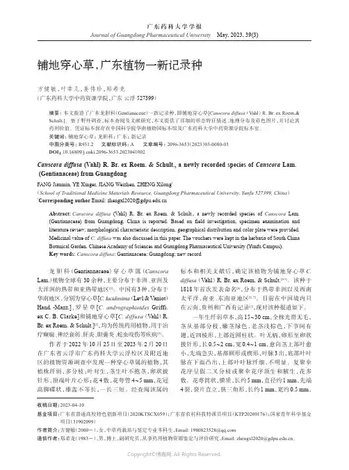 211281733_铺地穿心草，广东植物一新记录种