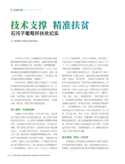 技术支撑 精准扶贫——石河子葡萄所扶贫纪实