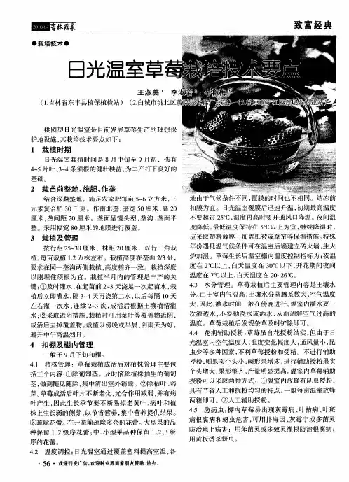 日光温室草莓栽培技术要点