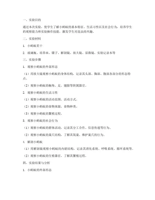 认识小蚂蚁实验报告