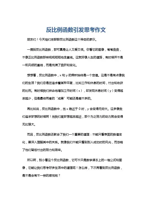 反比例函数引发思考作文