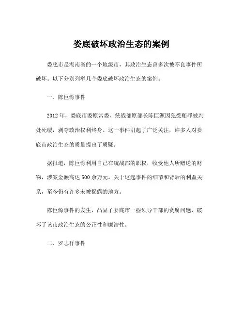 娄底破坏政治生态的案例