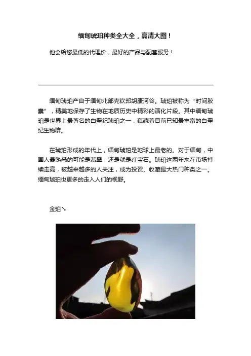 缅甸琥珀种类全大全，高清大图！