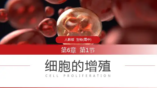 《细胞的增值》人教版必修高一生物PPT课件