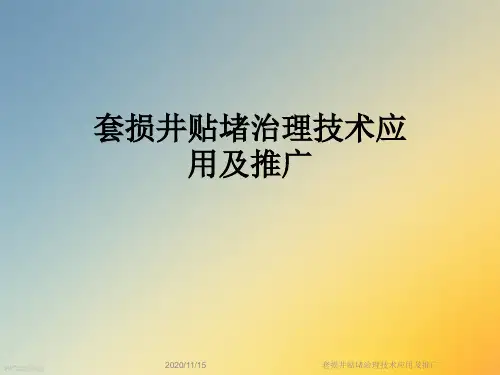 套损井贴堵治理技术应用及推广