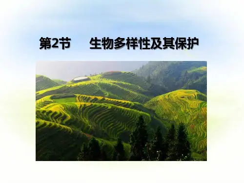 生物多样性及其保护 课件-选择性必修2