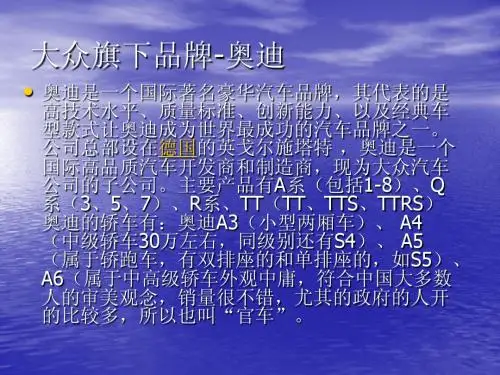 大众旗下品牌-奥