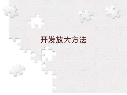 化工过程开发4开发放大方法课件