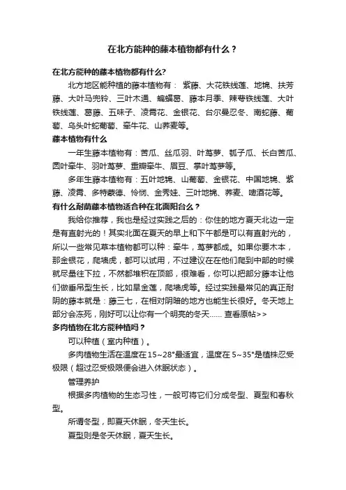 在北方能种的藤本植物都有什么？