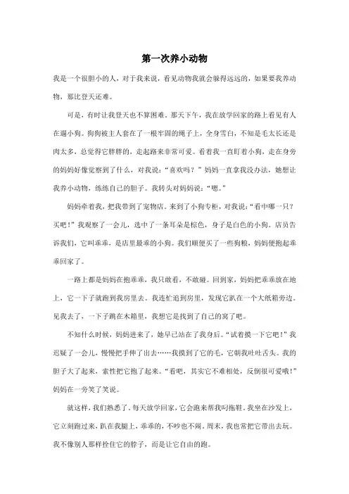 第一次养小动物_初中初三作文600字