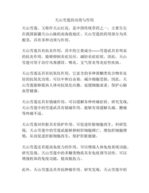 天山雪莲的功效与作用