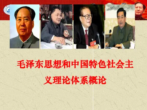 毛概第十四章PPT