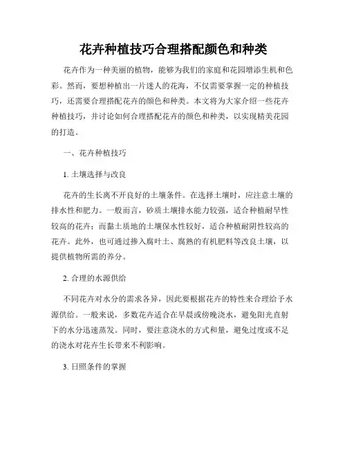 花卉种植技巧合理搭配颜色和种类