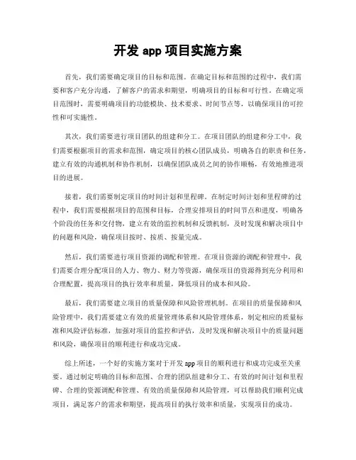 开发app项目实施方案