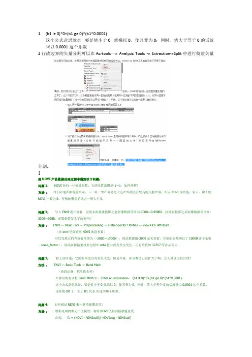 envi运算技巧