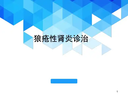 狼疮性肾炎医学PPT课件