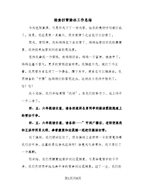 检查扫雪除冰工作总结（4篇）