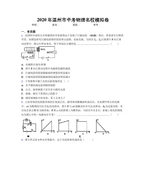 2020年温州市中考物理名校模拟卷