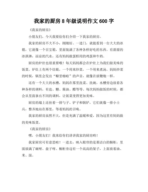 我家的厨房8年级说明作文600字