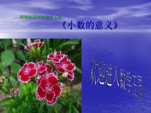 四年级下册数学课件-5.1 小数的意义  ︳西师大版   (1)