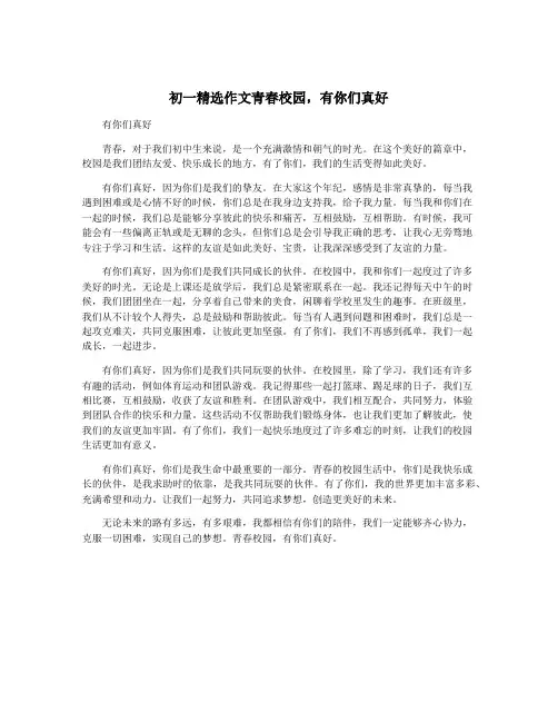 初一精选作文青春校园,有你们真好