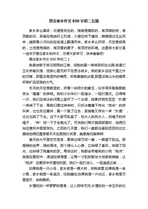 想念家乡作文800字初二五篇