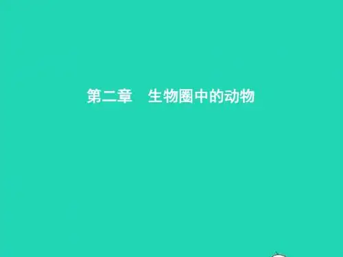 七年级生物上册无脊椎动物的主要类群(第1课时腔肠动物扁形动物线形动物和环节动物)课件