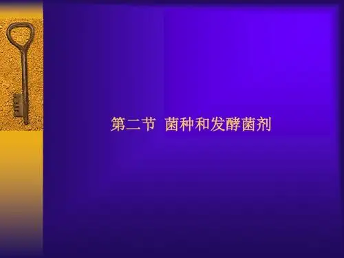 菌种和发酵菌剂综述