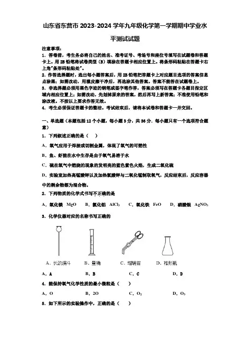 山东省东营市2023-2024学年九年级化学第一学期期中学业水平测试试题含解析