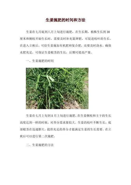 生姜施肥的时间和方法