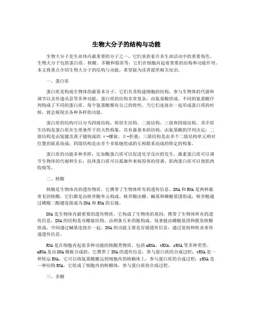 生物大分子的结构与功能