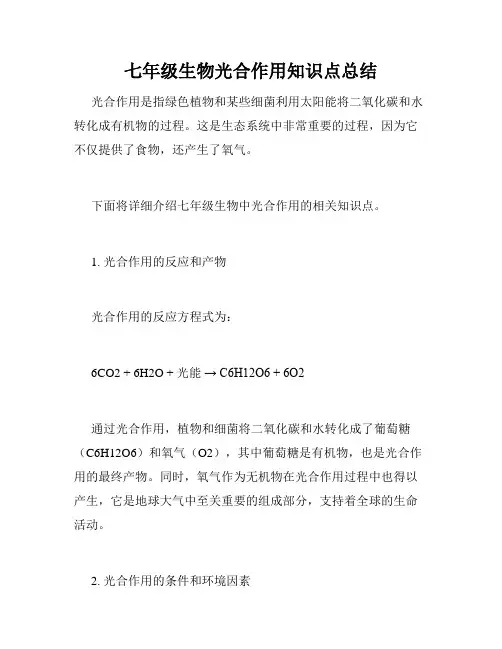 七年级生物光合作用知识点总结