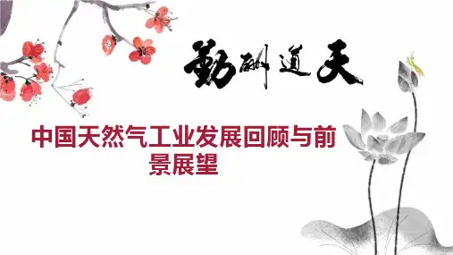 中国天然气工业发展回顾与前景展望