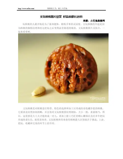 文玩核桃图片欣赏 好品质都长这样!