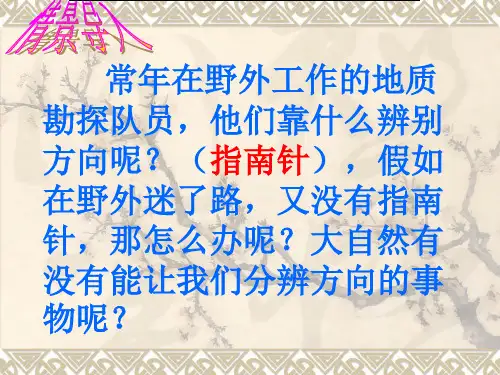 统编版《要是你在野外迷了路》ppt