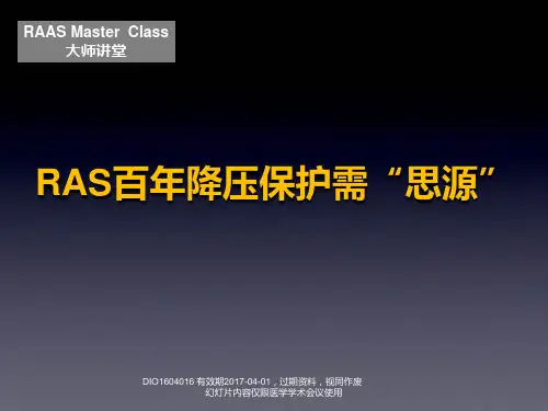 RAS系统简介