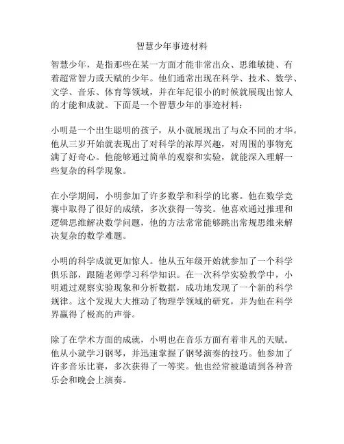 智慧少年事迹材料