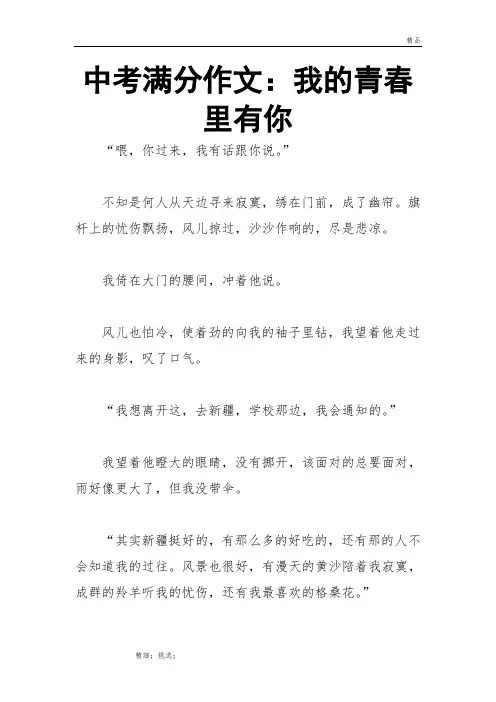 中考满分作文：我的青春里有你