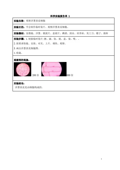 小学科学实验报告汇总