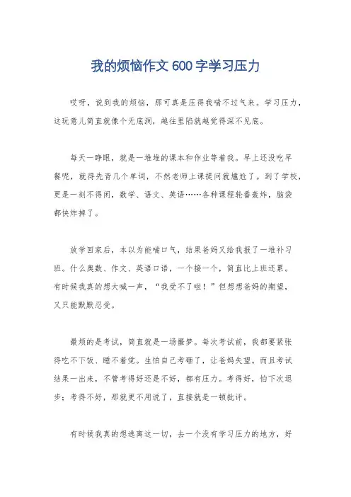 我的烦恼作文600字学习压力