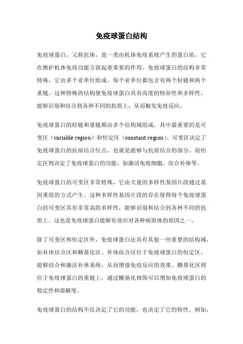 免疫球蛋白结构