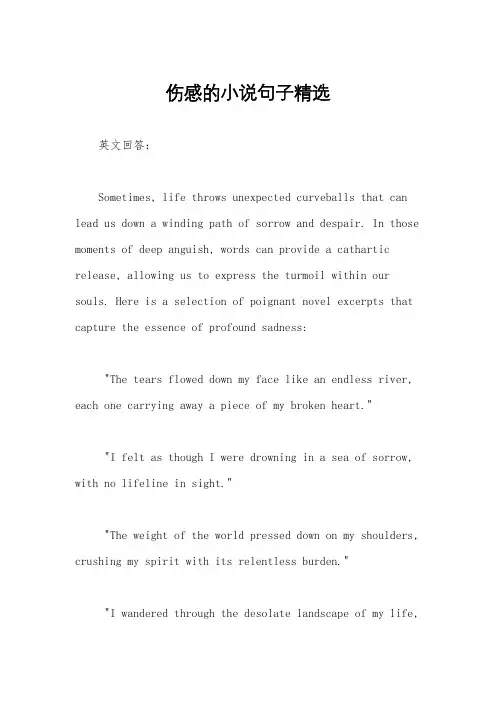 伤感的小说句子精选
