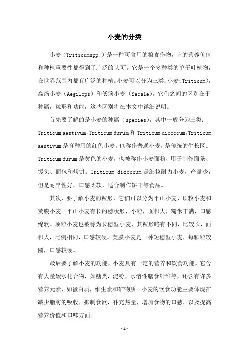 小麦的分类